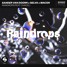 Raindrops (Knight Raccoon Remix)