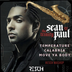 Temperature x Calabria - Sean Paul, Enur, Nina Sky (RESCH 2K24 Club Edit)
