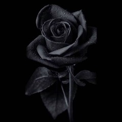 Blxck Rose