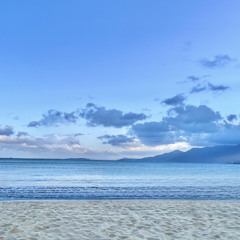 Vài Lần Đón Đưa - Vũ