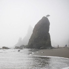 (demo) love, victor.