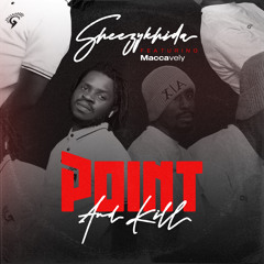 POINT AND KILL (feat. Maccavely)