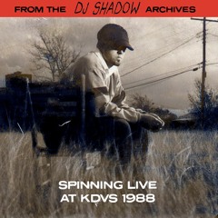 DJ Shadow Archive Shows