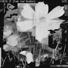 Check It (Organ Mix)