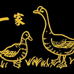 Peking Spring w/ Yadin Moha 120625
