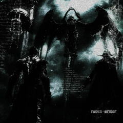 raven armor