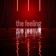 TeKkKusengs - The Feeling