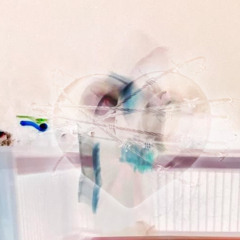 F33LTHISW4Y [+H4LF.3VIL]