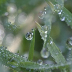 sound for lyrical 般若心経 Heart Sutra