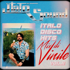 Italo Disco Hits Vol.II 🍕🍋 Vinyl Mix
