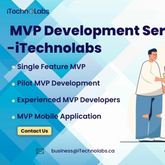 Maximizing ROI: Why Choosing the Right MVP Development Company Matters