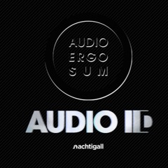 Audio ID w/ Elmar Strathe 11/19