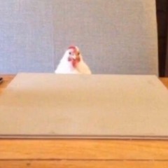 nah fr who tf is that