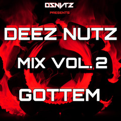 DEEZNUTZ GOTT'EM MIX VOL. 2