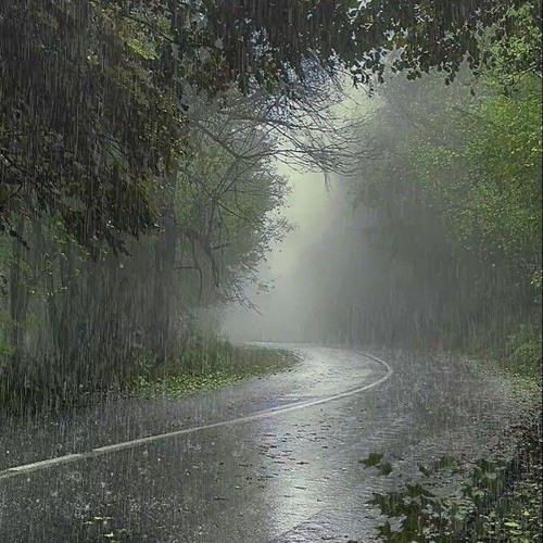 سورة الكهف سمير عزت