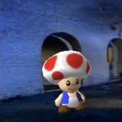 Never Gonna Toad You Up