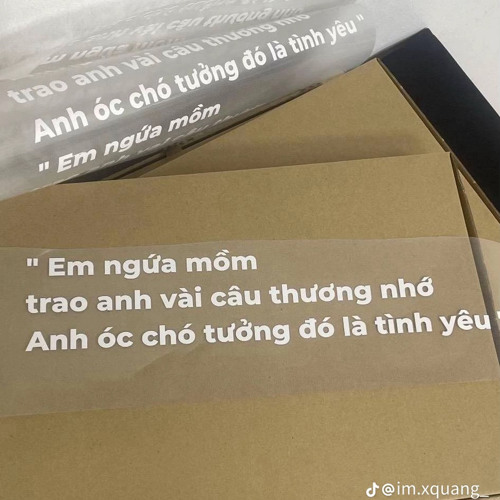 lak kieu suy vol2 - david miinh.mp3