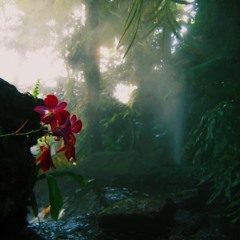 It’s Cali Not Bali