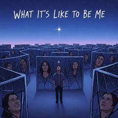 What It’s Like to Be Me