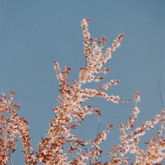 Battersea (released)