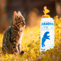 . ݁₊ ⊹ . ݁ ⟡ ݁ . ⊹ ₊ ݁.