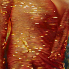 In the Time of Orangutans