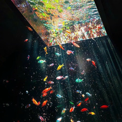 thap roi tu do - soul trap type beat (prod Hazah)