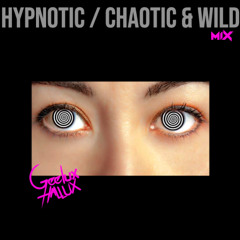 Hypnotic / Chaotic & Wild Mix