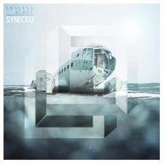 Loseless - Synecku - Ehud Power Remix