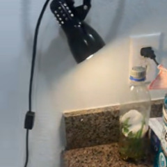 bottle of life and peroxide