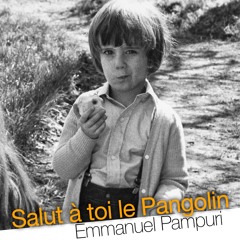 Salut à Toi Le Pangolin - Maquette V5