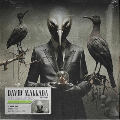 David Mallada - Why Cant Be You.wav