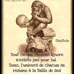 j ai plus envie studio