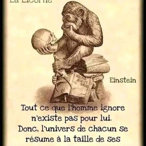 j ai plus envie studio