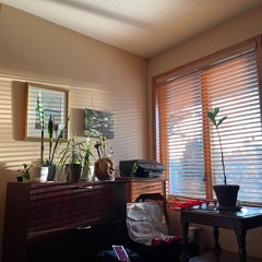 First Dream / Second Dream