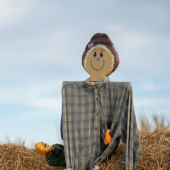 The Scarecrow and the Windmill