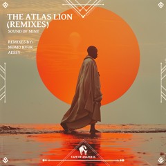 Sound Of Mint - Nimepotea (AESSY Remix) [Cafe De Anatolia]
