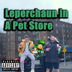 Leprechaun In a Pet Store