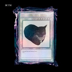 HCTM - Maxwell The Cat (Techno Flip)