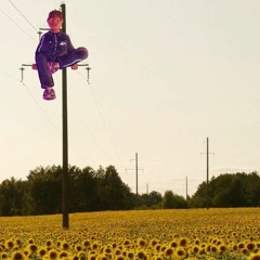 Garius, SF MUSIC - Pode Me Chamar De Louco