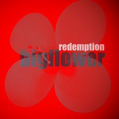 Redemption