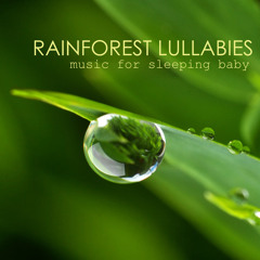 Rainforest Lullabies