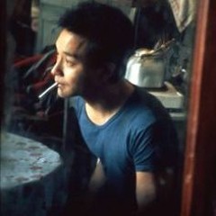 wizard of oz (pradarenzy)