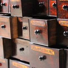 Treasure Box Vol. VII