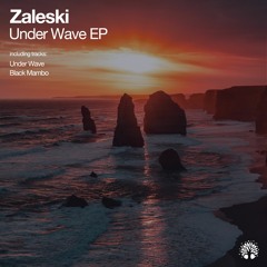 [ETREE467] Zaleski - Under Wave EP