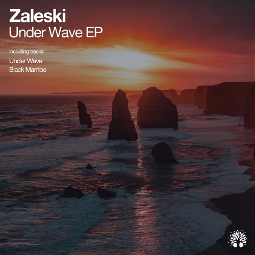 [ETREE467] Zaleski - Under Wave EP