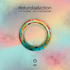 Episodio 65 - Natural Selection With Cassiamusik