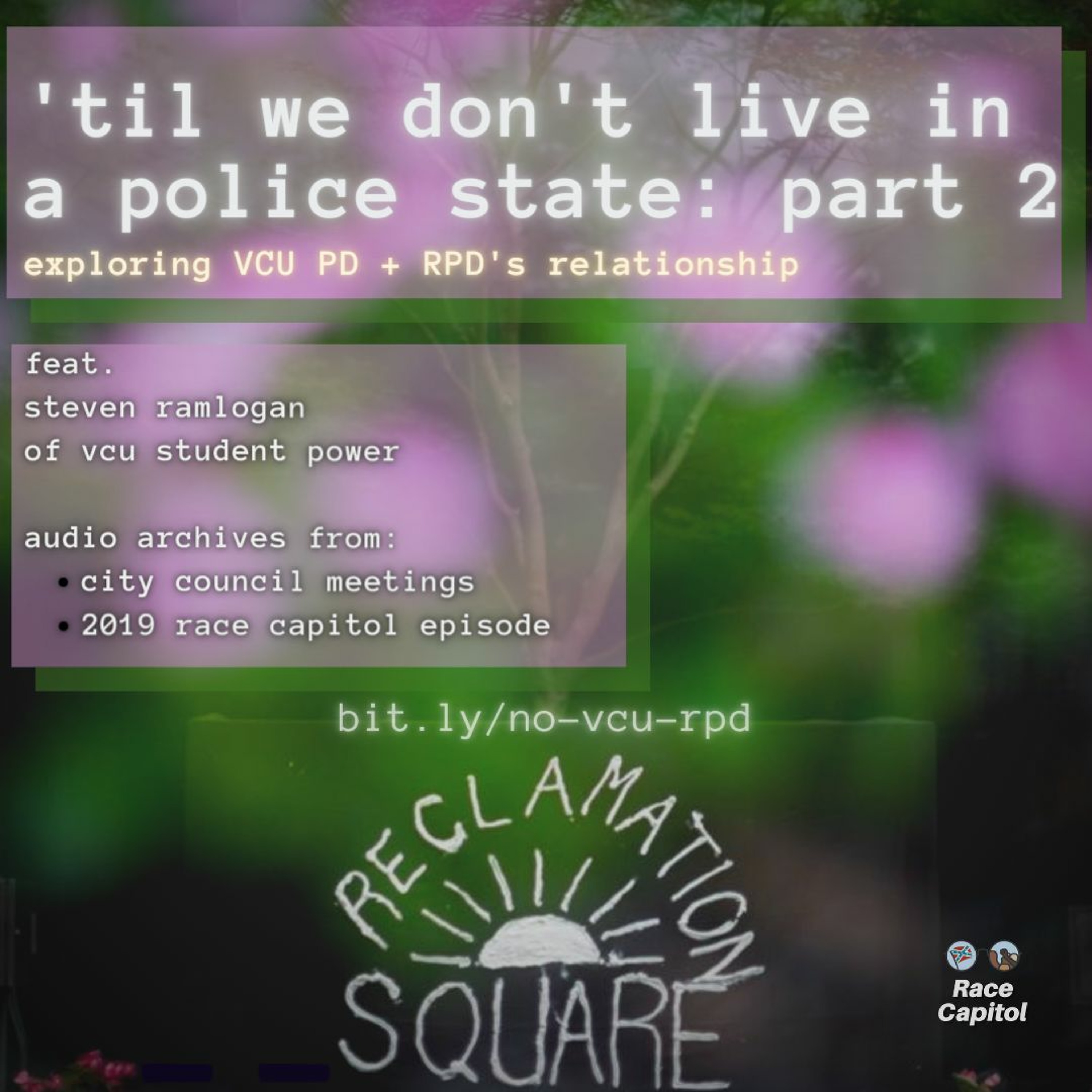 'til we don't live in a police state (pt. 2): exploring vcu pd + rpd's relationship