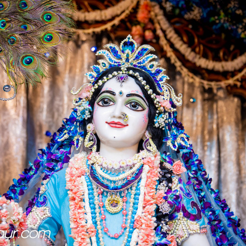 Nrsimha Pranam - Krsnadas