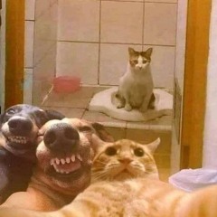 NONSTOP BalaDa X Danza Kuduro NHẠC HOT TIKTOK MÙA ĐÁ BÓNG 2024